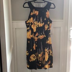 The Limited dress size 14